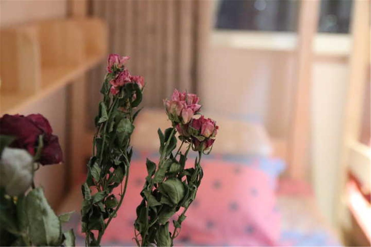 Yantai Music Theme Youth Hostel المظهر الخارجي الصورة